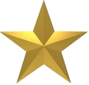 gold star for five star service